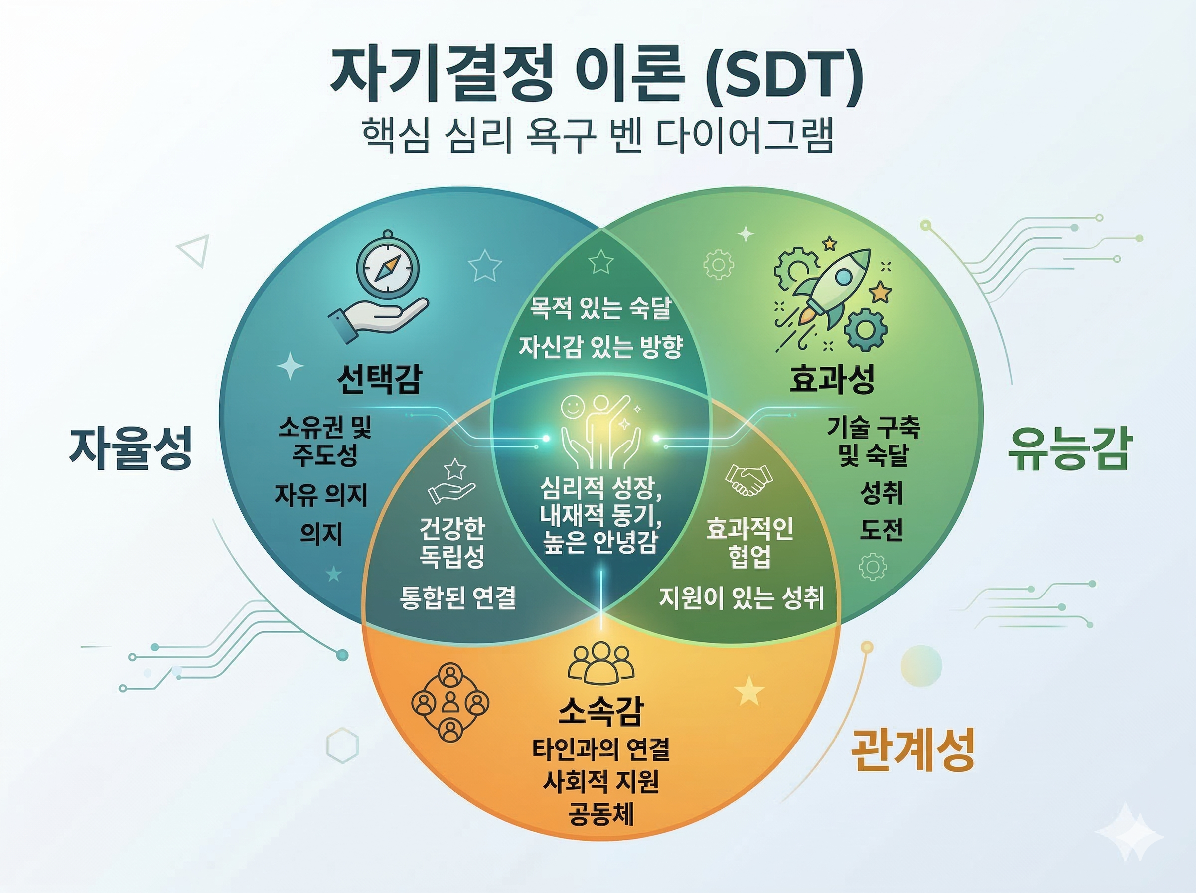 SDT 이론