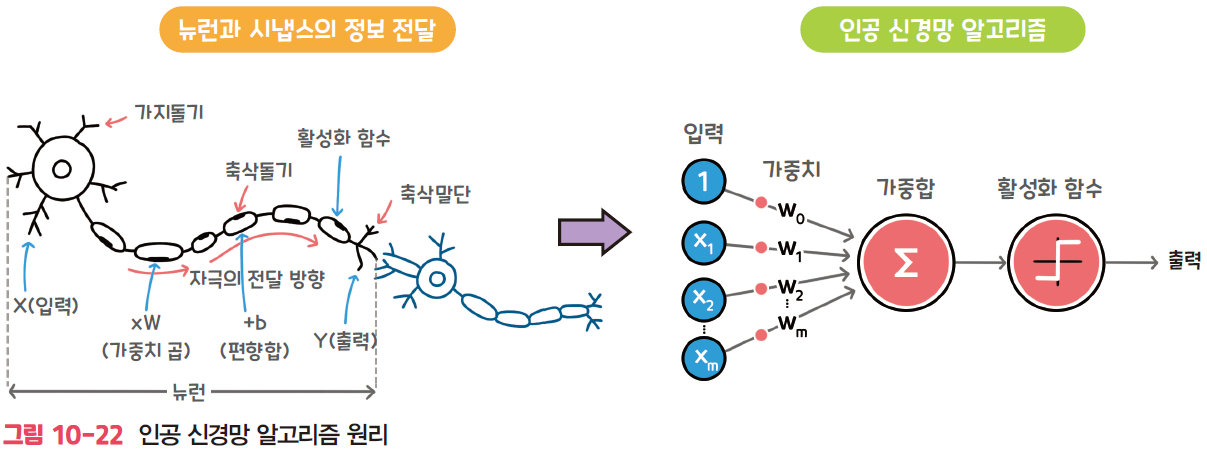 생물학적 뉴런과 인공신경망 뉴런 모델